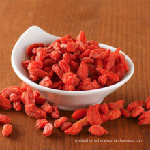 Natural Healthcare Supplement Freeze Dried Wolfberry Goji Berry